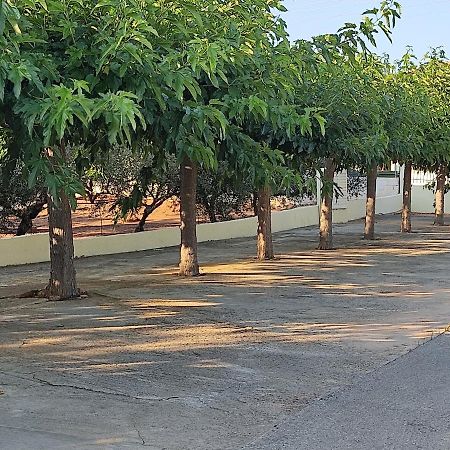 Hotel Takis Agios Georgios  Ngoại thất bức ảnh